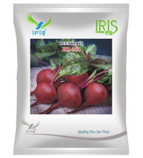 Beetroot Imported OP Iris BR-303 - 50 grams